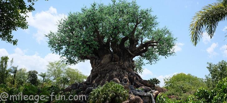 ディズニーワールド旅行に行って来ました アニマルキングダム編 いつかは夢のミリオン マイラー