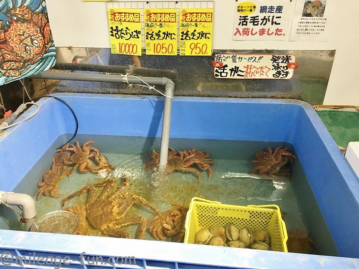 オホーツク海の流氷明け毛ガニ 最高の毛ガニを食べる方法 いつかは夢のミリオン マイラー オホーツク海の流氷明け毛ガニ 最高の毛ガニを食べる方法 いつかは夢のミリオン マイラー